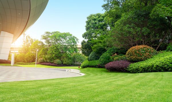 Commercial Shrub Trimming in Saint Cloud
