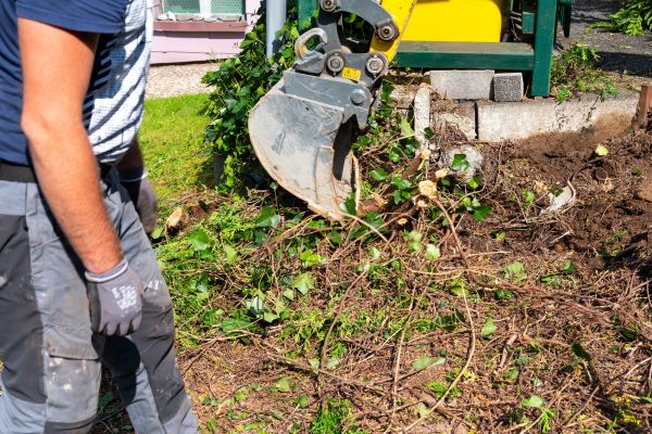 Hedge Removal Service in Saint Cloud