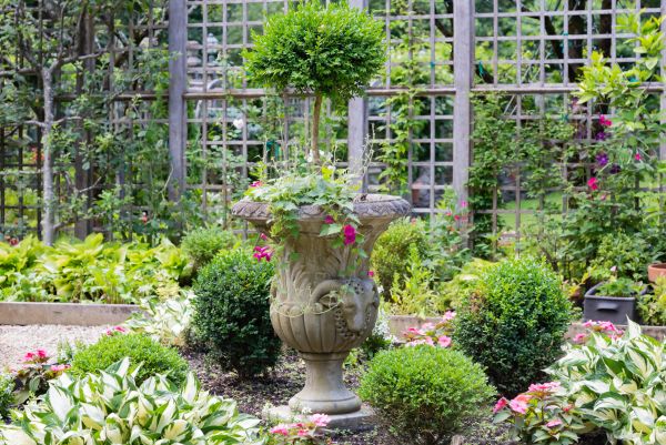 Cost of Topiary Pruning in Saint Cloud