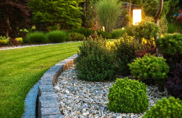 Cost of Bush Relocation in Saint Cloud