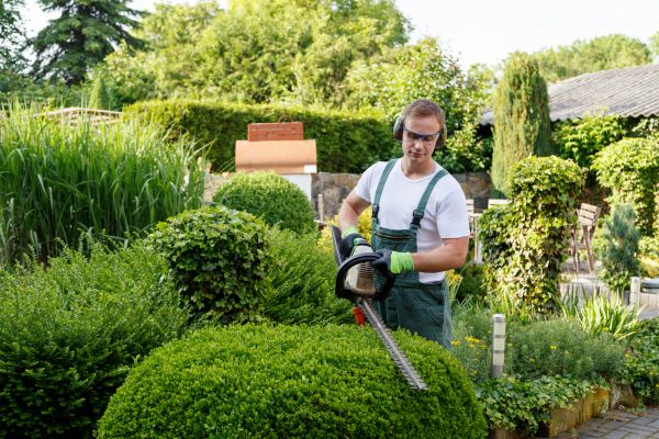 Shrubs Trimming in Saint Cloud