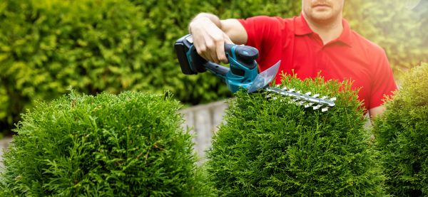 Cost of Hedge Shaping Service in Saint Cloud
