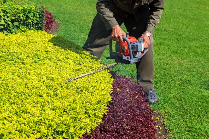 Trimming in a Residential Garden