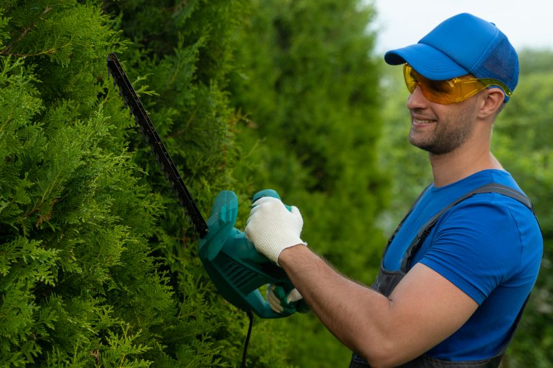 Professional Shrub Trimming